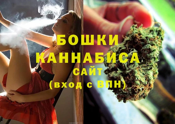 индика Беломорск