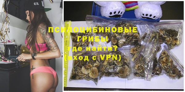 индика Беломорск