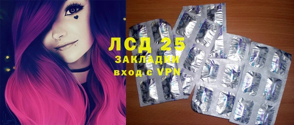 индика Беломорск