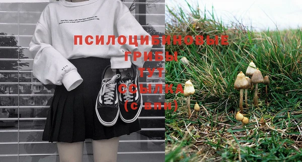 альфа пвп Бородино