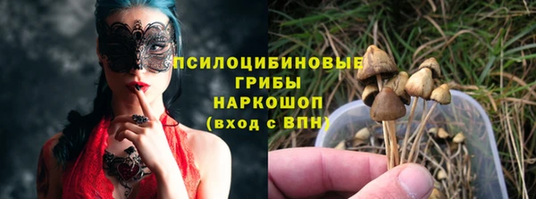 a pvp Богданович