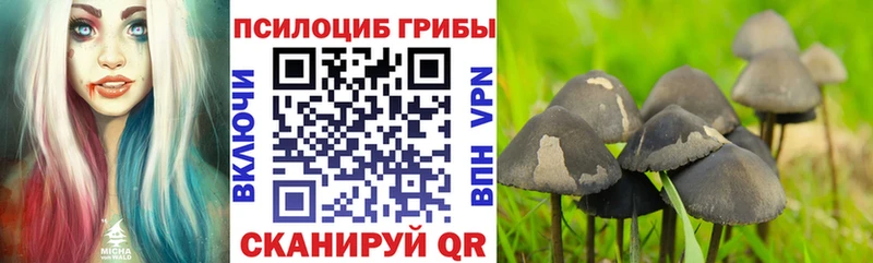 Псилоцибиновые грибы Psilocybine cubensis  OMG маркетплейс  Белогорск 